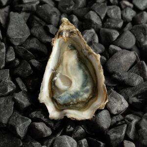 Ostra Nº2 Fine du Galon d´or