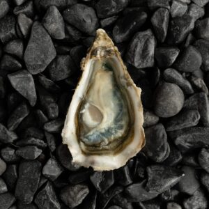 Ostra Nº4 Fine du Galon d´or