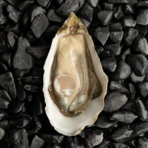 Ostra Nº2 Normandía