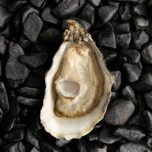Ostra Nº3 Normandía